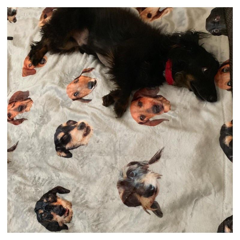 custom doxie print plush blanket 60" x 80" - BeanGoods