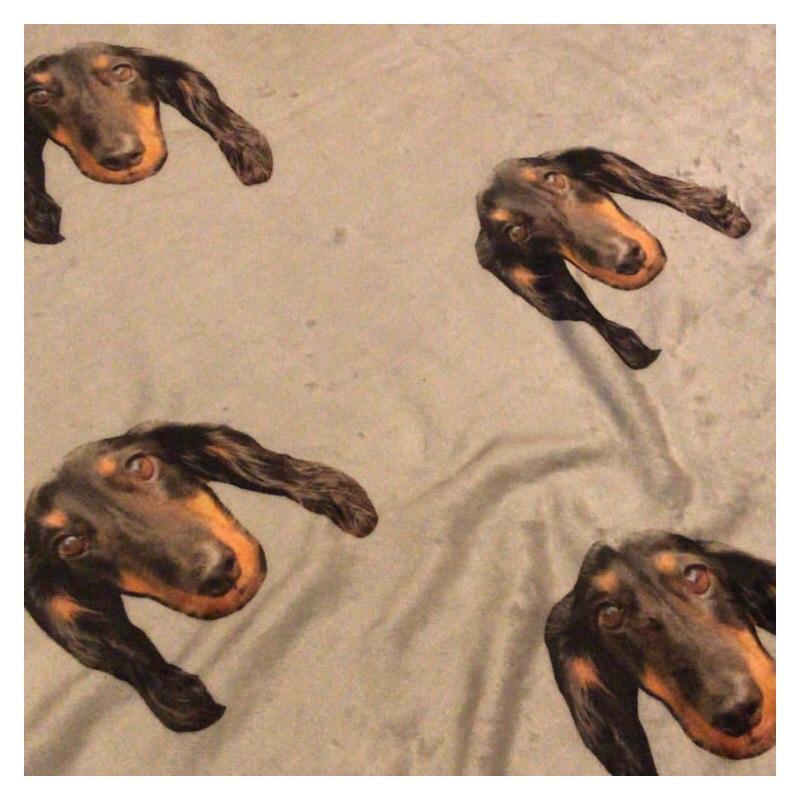 custom doxie print plush blanket 60" x 80" - BeanGoods