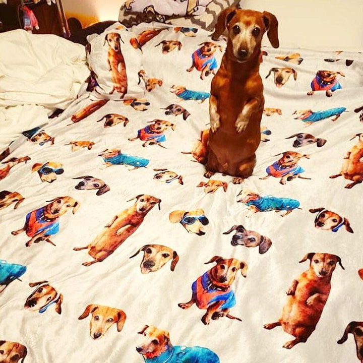 custom doxie print plush blanket 60" x 80" - BeanGoods