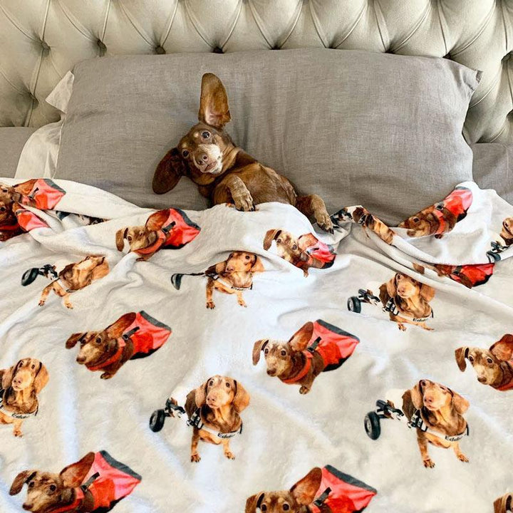 custom doxie print plush blanket 60" x 80" - BeanGoods