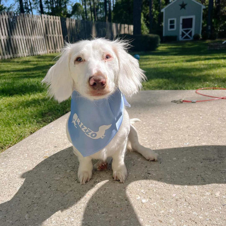 custom name dog bandana - bean goods