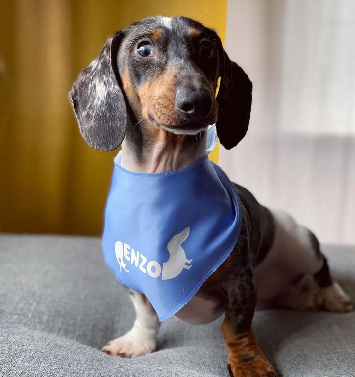 custom name dog bandana - bean goods