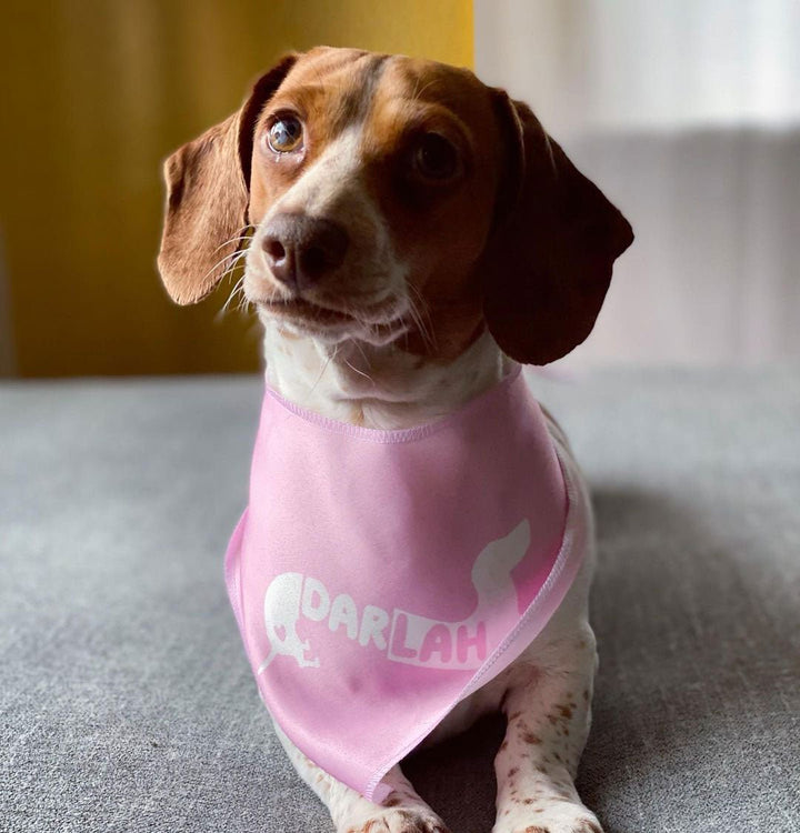 custom name dog bandana - bean goods