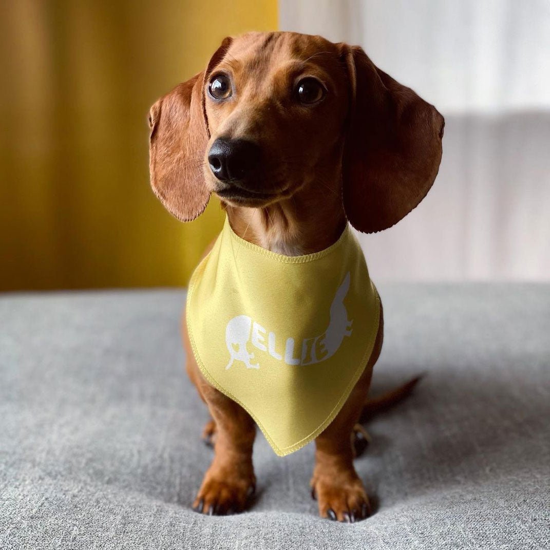 custom name dog bandana - bean goods