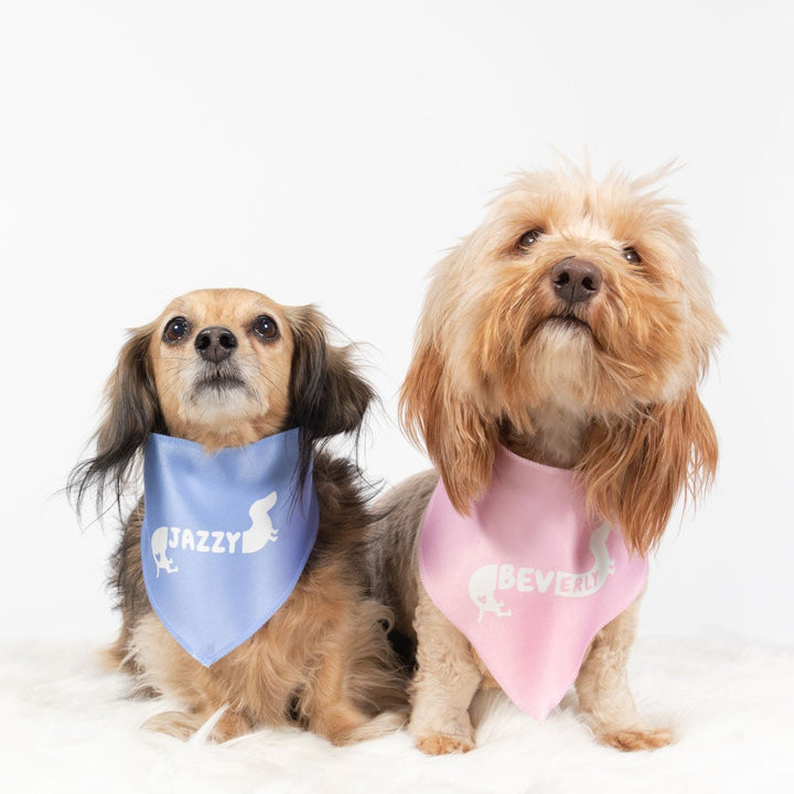 custom name dog bandana - bean goods