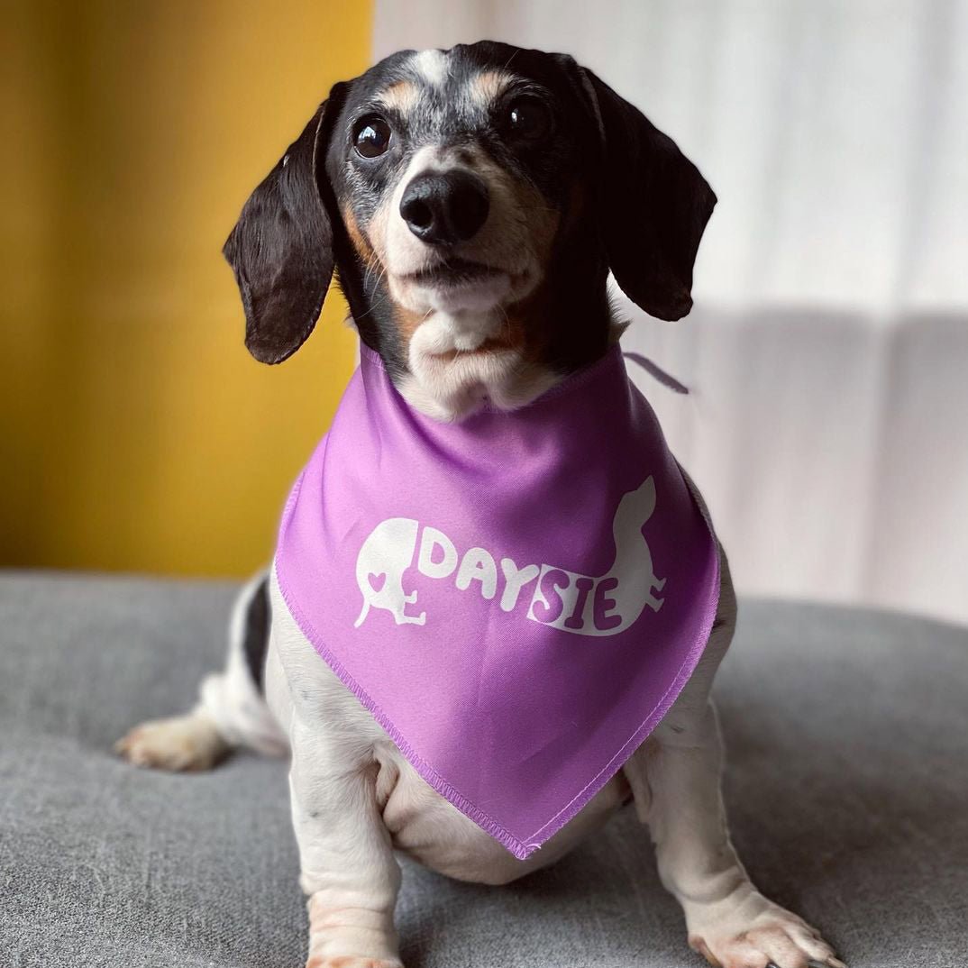 custom name dog bandana - bean goods