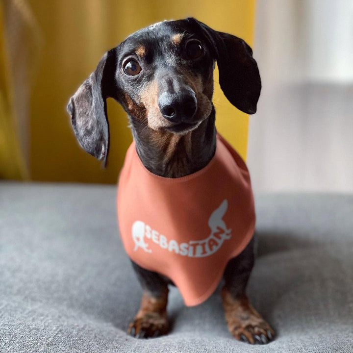 custom name dog bandana - bean goods