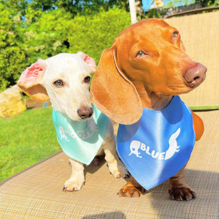 custom name dog bandana - bean goods