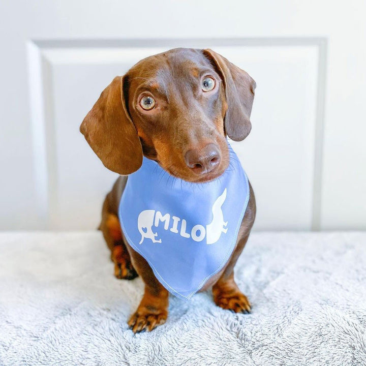 custom name dog bandana - bean goods