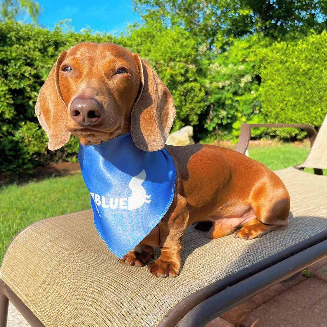 custom name dog bandana - bean goods