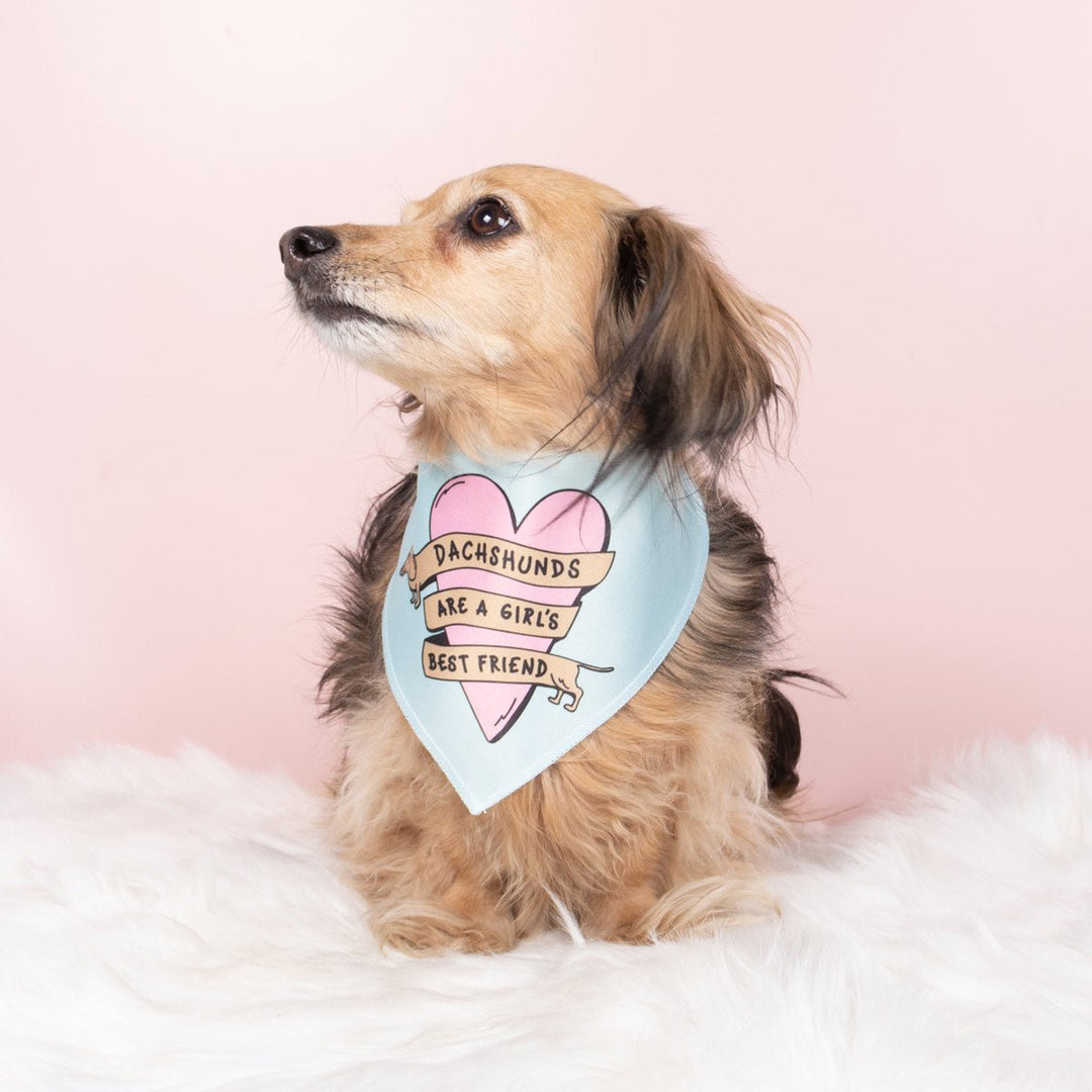 dachshunds are a girl's best friend dog bandana - bean goods