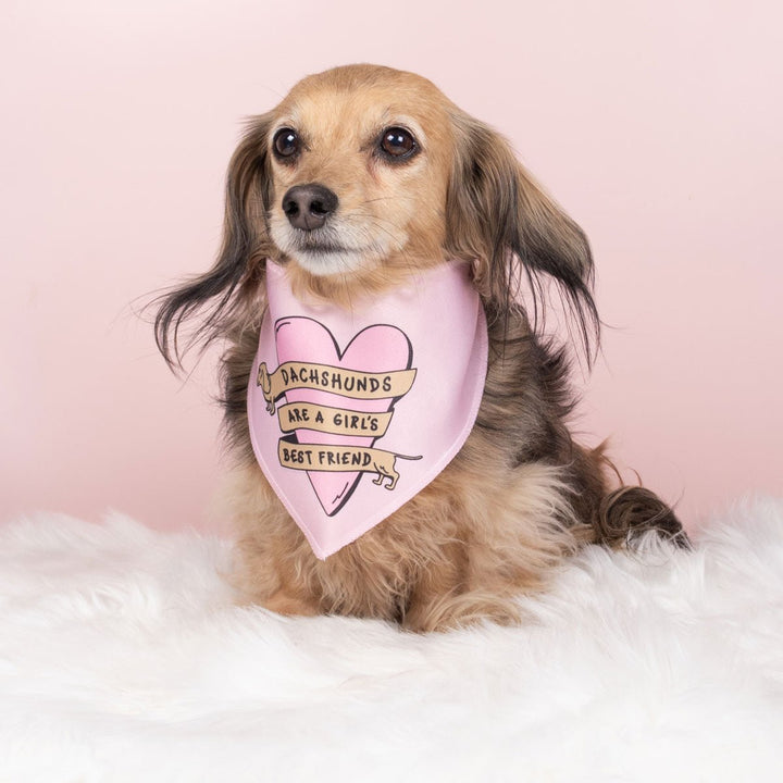 dachshunds are a girl's best friend dog bandana - bean goods