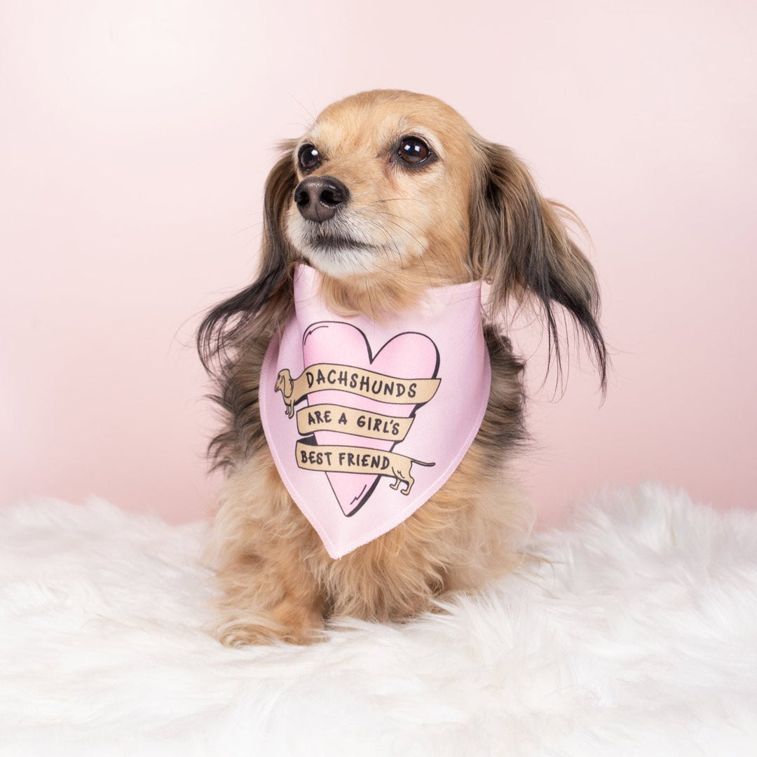 dachshunds are a girl's best friend dog bandana