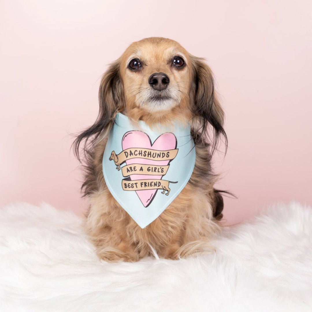 dachshunds are a girl's best friend dog bandana - bean goods