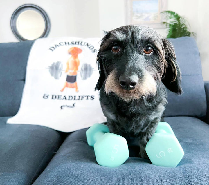 dachshunds & deadlifts gym towel - bean goods