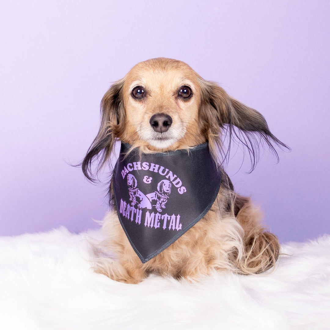 dachshunds & death metal dog bandana - bean goods