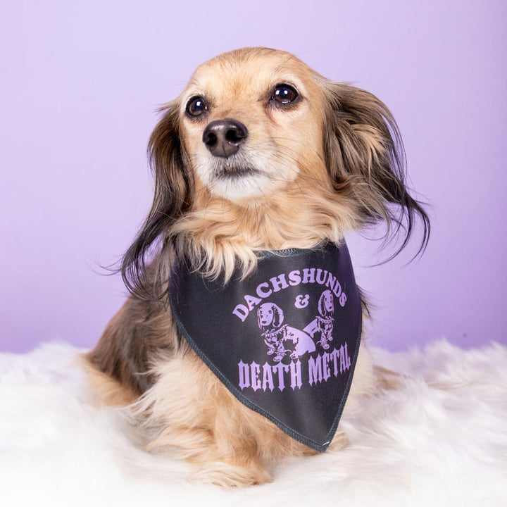 dachshunds & death metal dog bandana - bean goods