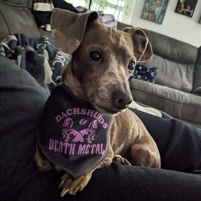 dachshunds & death metal dog bandana - bean goods