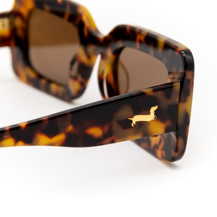 dachsunglasses - dapple (tortoise) - bean goods