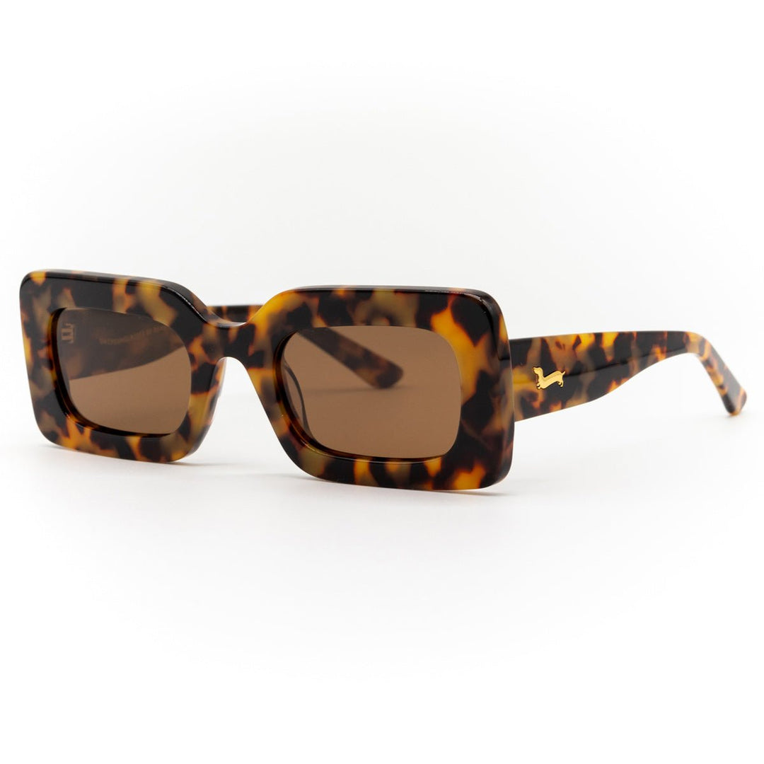 dachsunglasses - dapple (tortoise) - bean goods