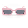 dachsunglasses - ween pink