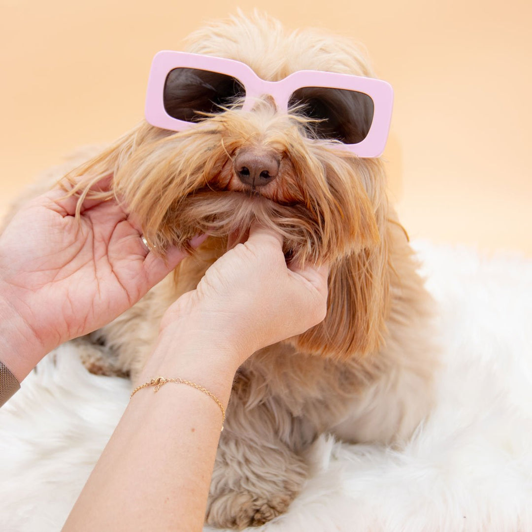 dachsunglasses - ween pink - bean goods