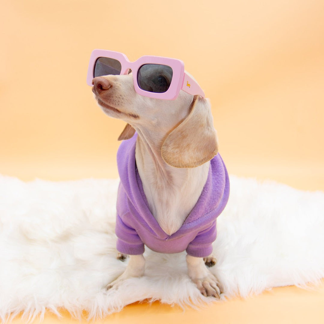 dachsunglasses - ween pink - bean goods