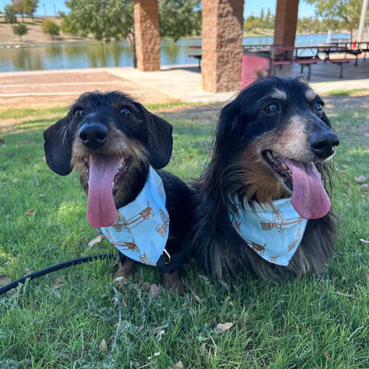 dachtoberfest dog bandana - bean goods