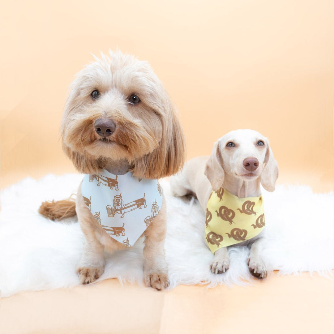 dachtoberfest dog bandana - bean goods