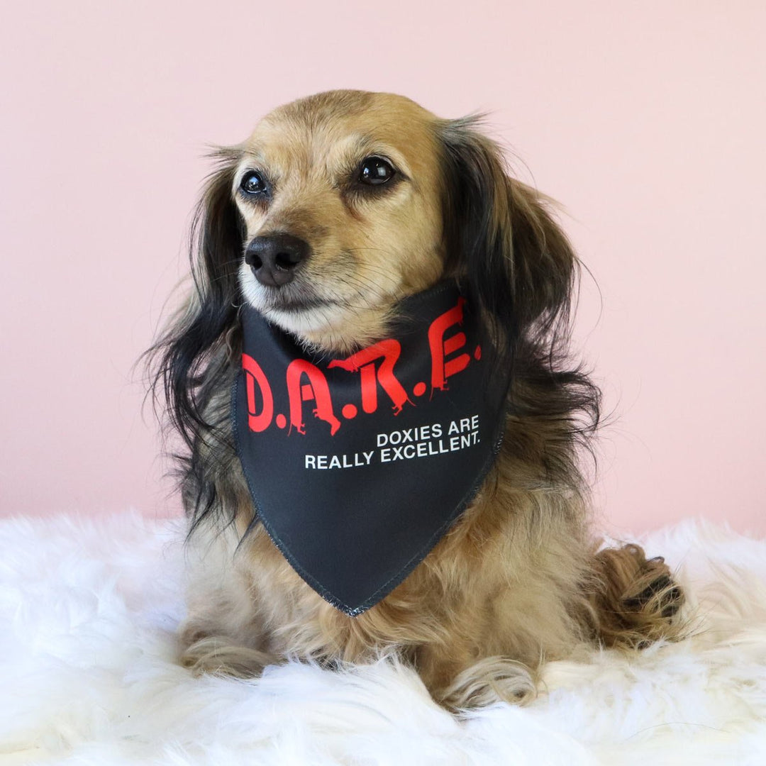 D.A.R.E dog bandana - bean goods