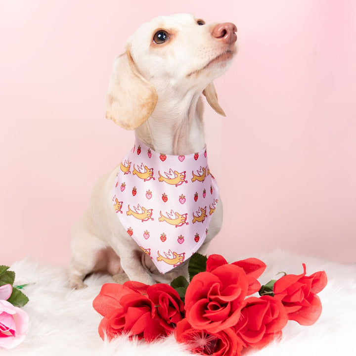 doxie love berry bliss bandana - bean goods