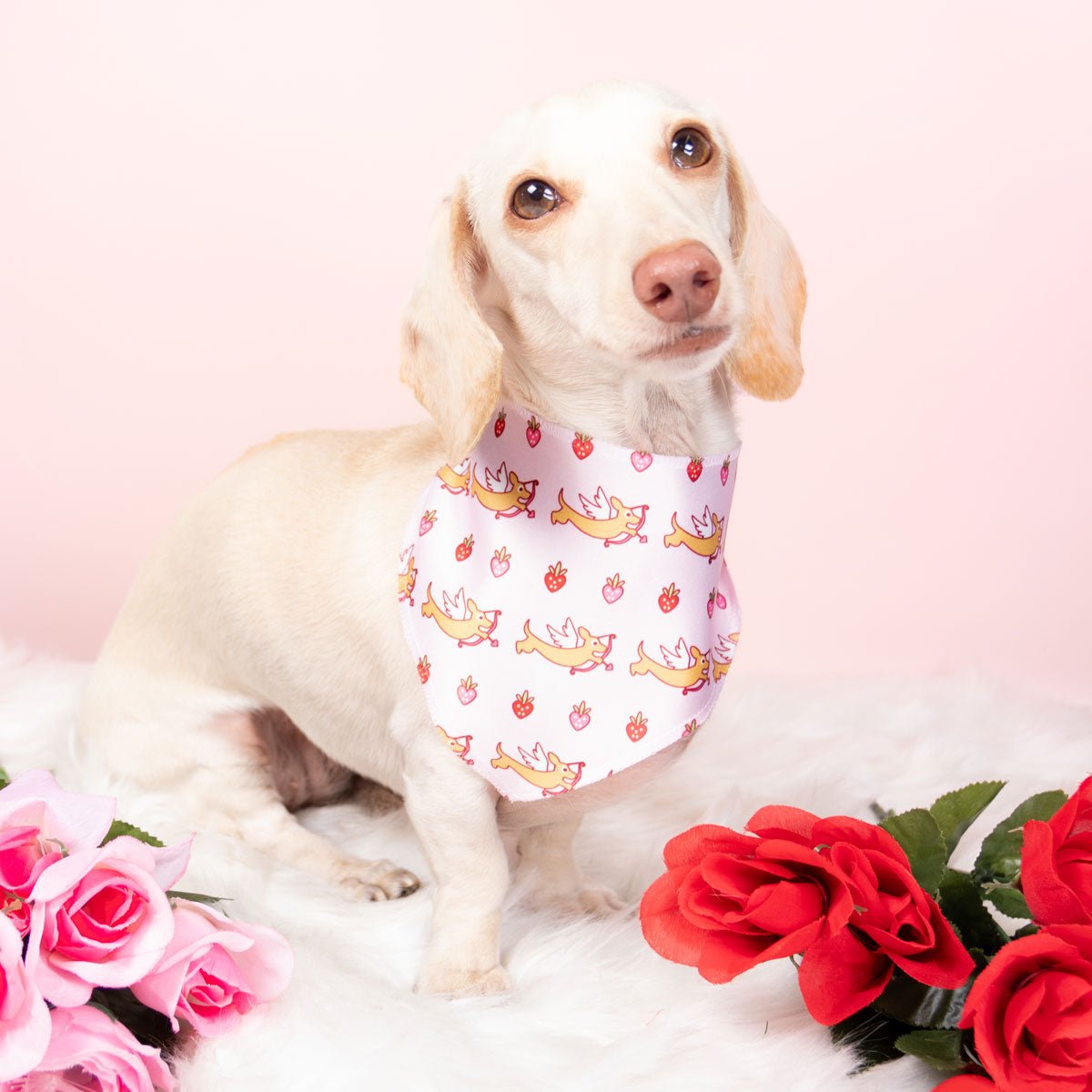 doxie love berry bliss bandana - bean goods