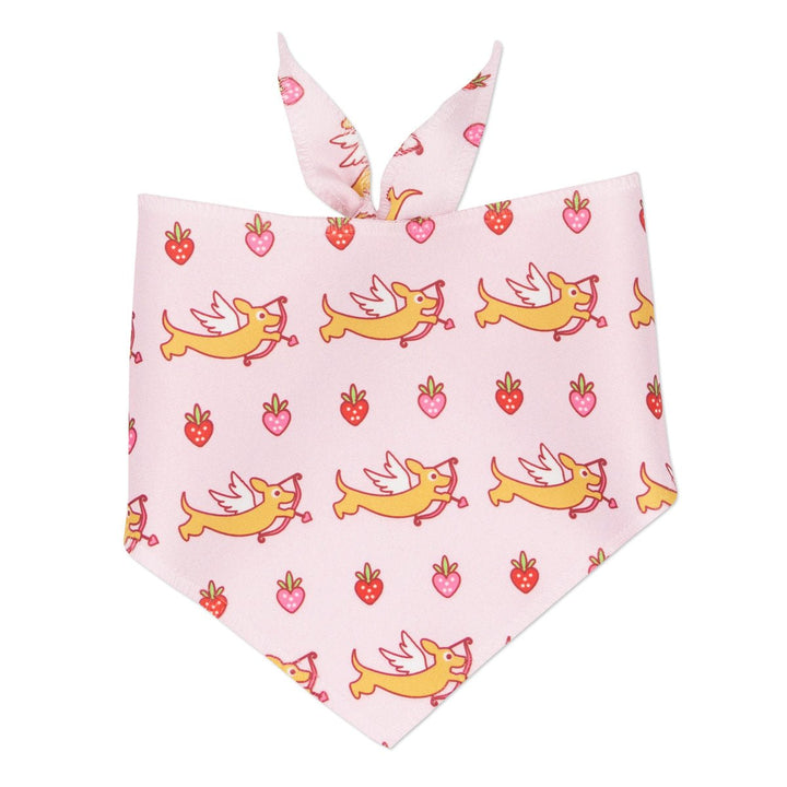 doxie love berry bliss bandana - bean goods