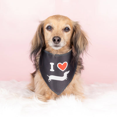 doxie love dog bandana - bean goods