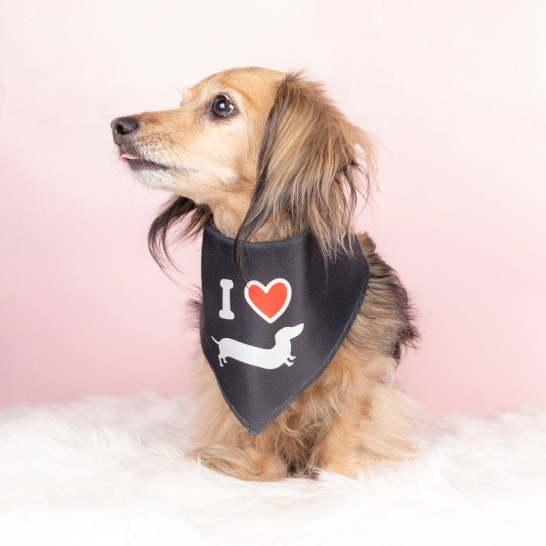 doxie love dog bandana - bean goods