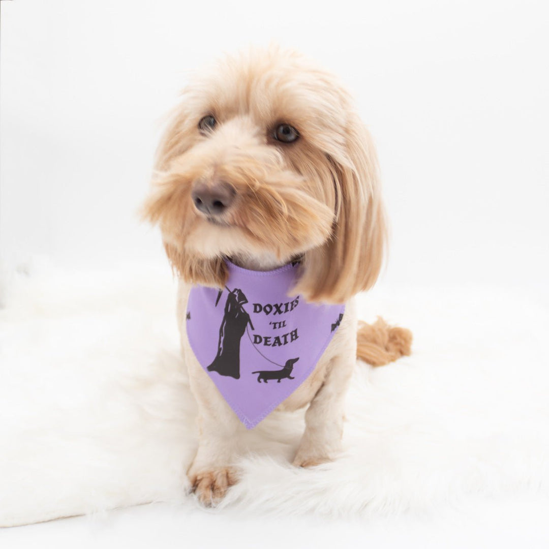 doxies 'til death dog bandana - bean goods