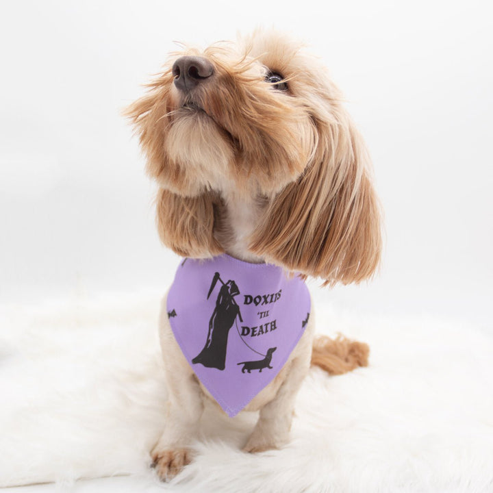 doxies 'til death dog bandana - bean goods