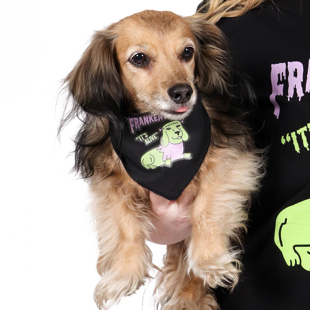 frankenween dog bandana - bean goods