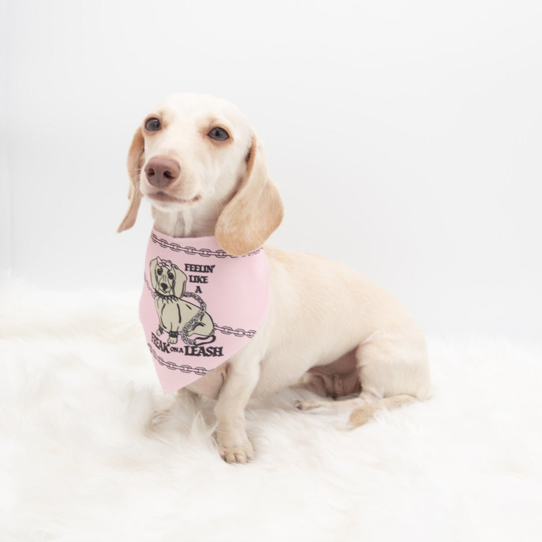 freak on a leash dog bandana - bean goods