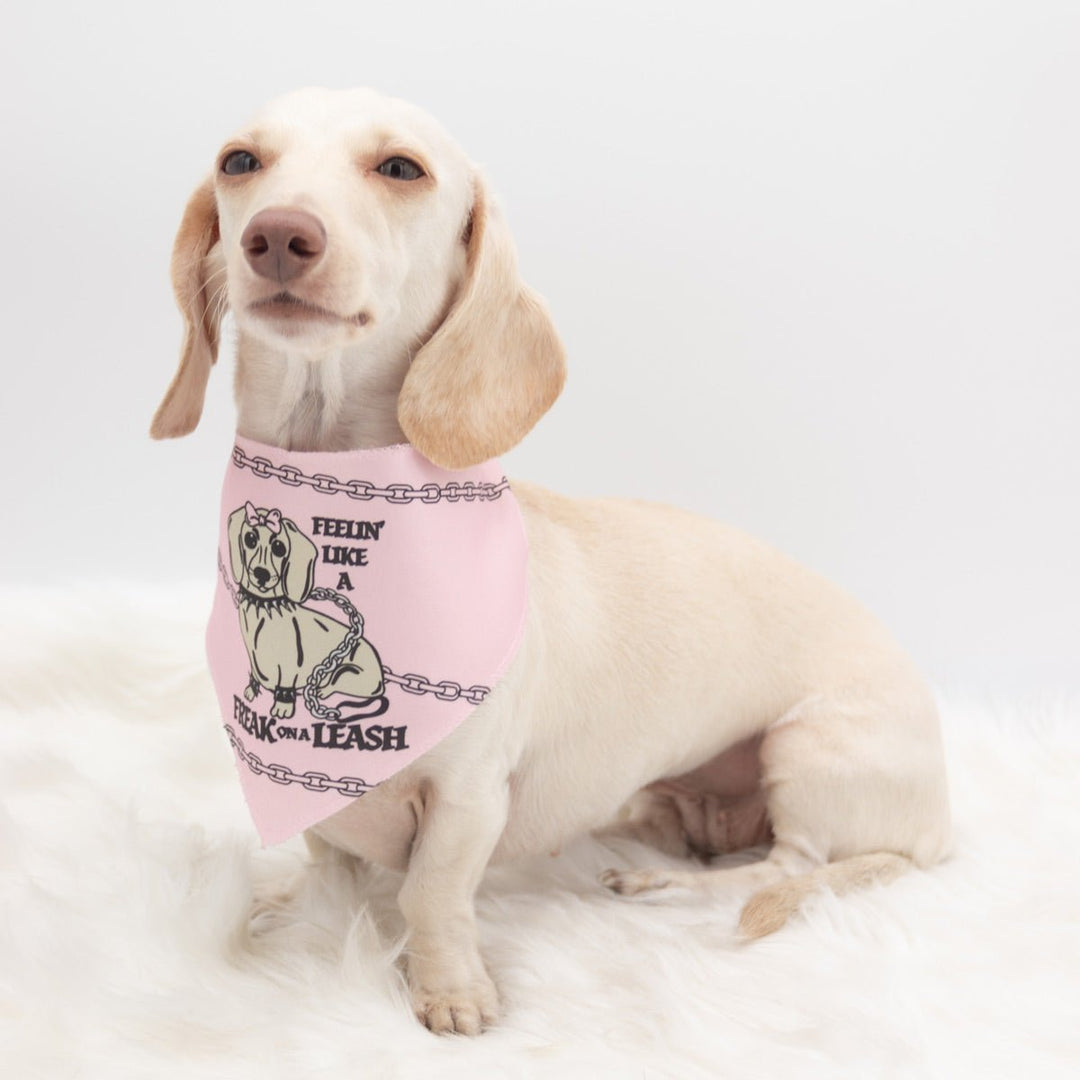 freak on a leash dog bandana - bean goods