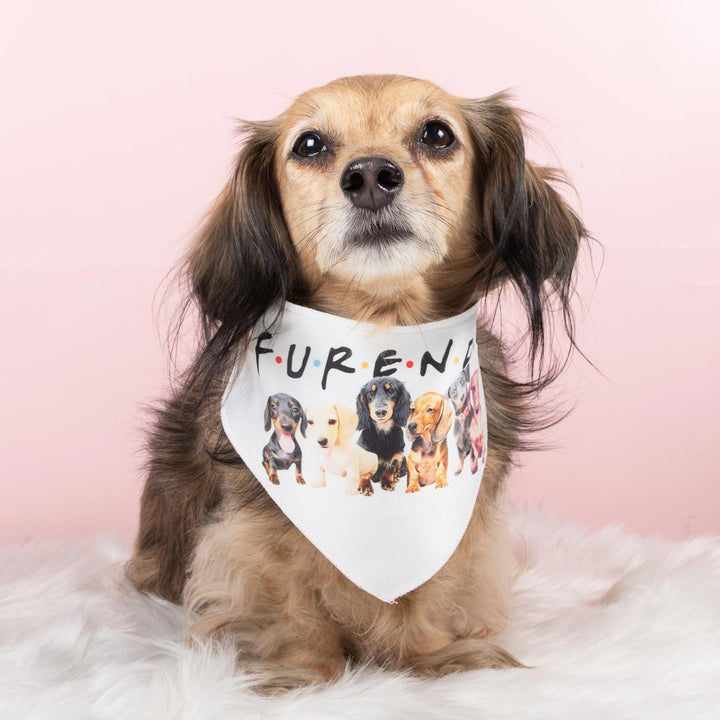 furends dog bandana - bean goods