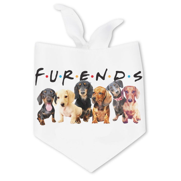 furends dog bandana - bean goods