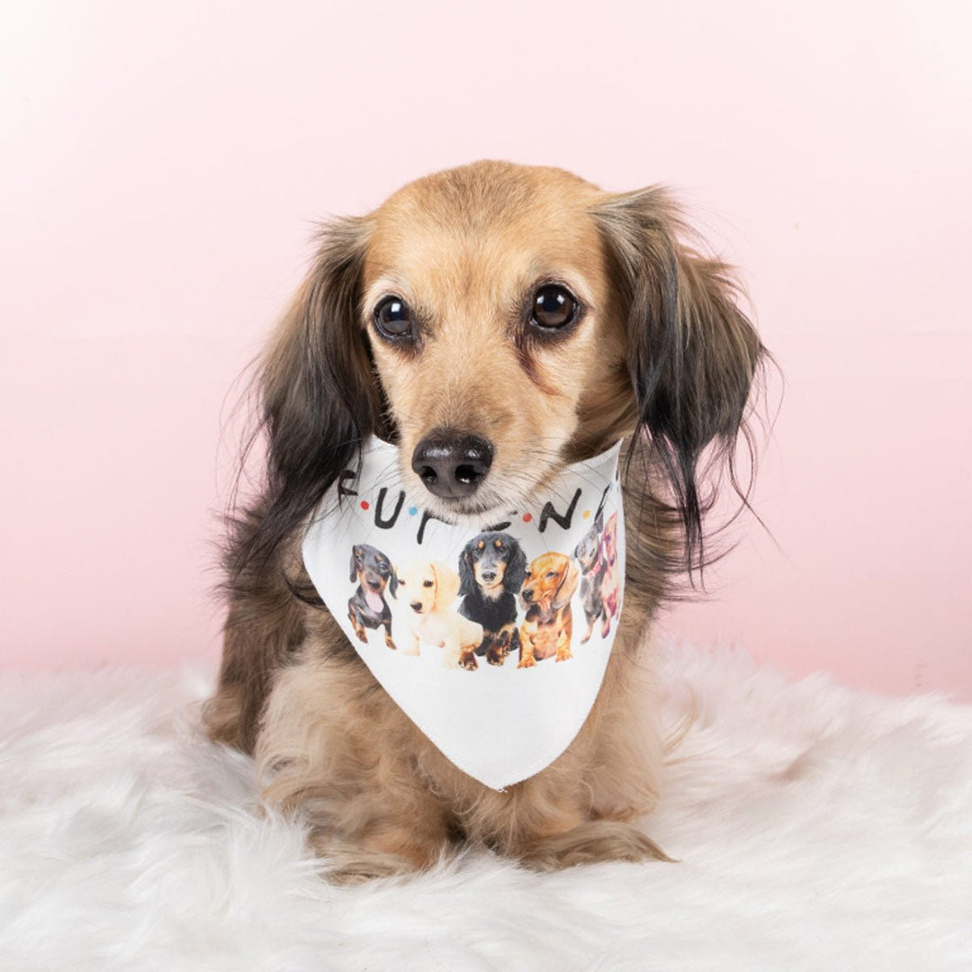 furends dog bandana - bean goods