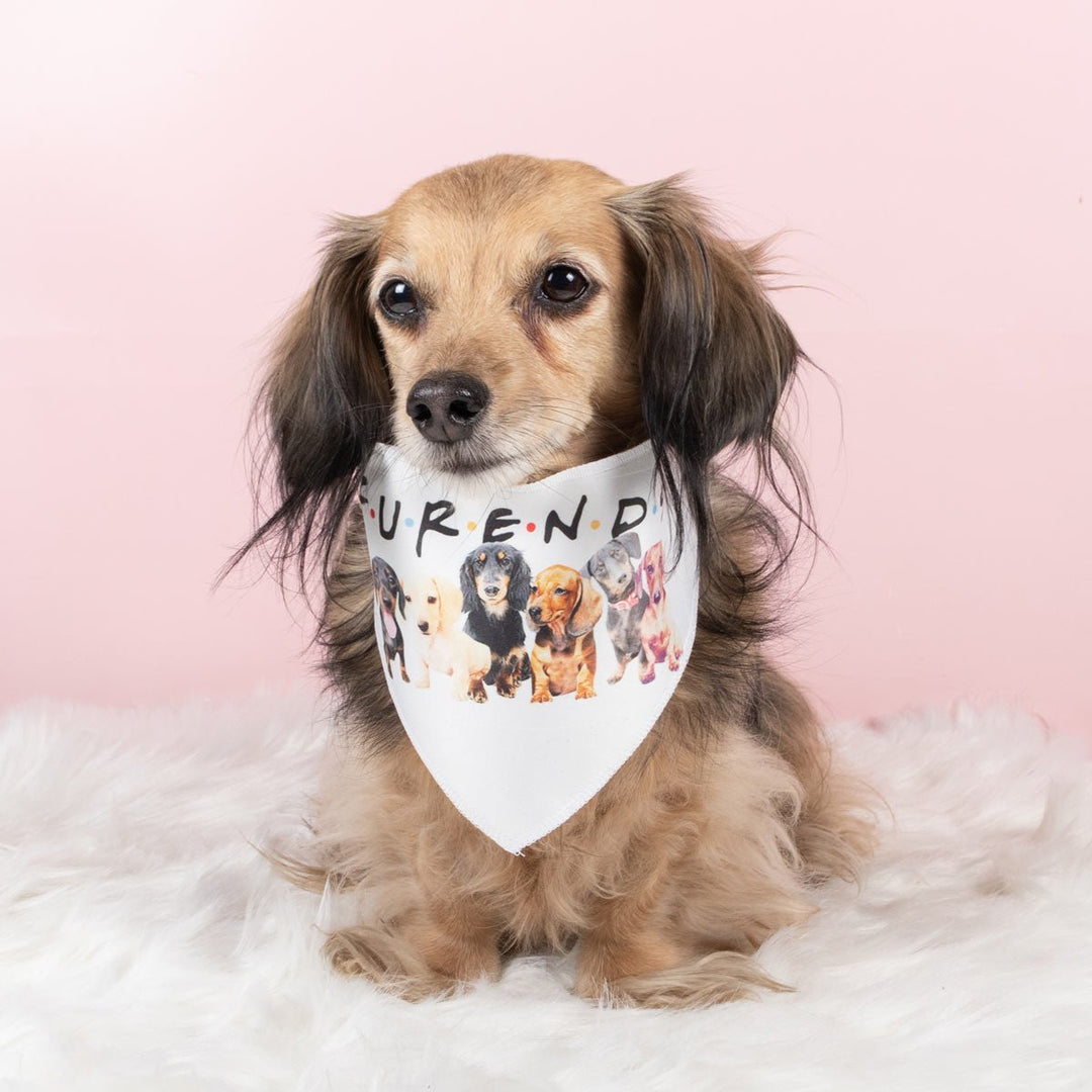 furends dog bandana - bean goods