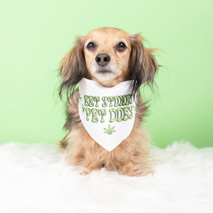 get stoned, pet dogs dog bandana - bean goods