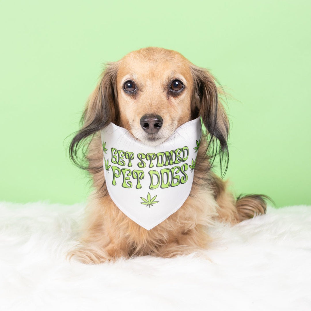 get stoned, pet dogs dog bandana - bean goods