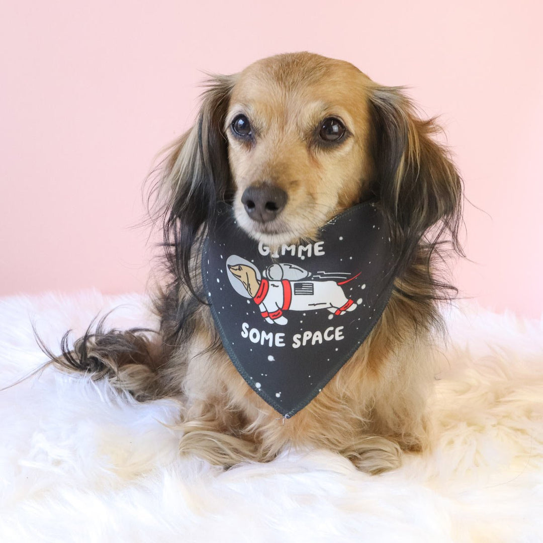 gimme some space bandana - bean goods