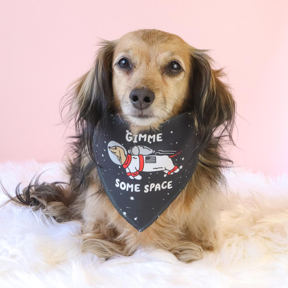 gimme some space bandana - bean goods