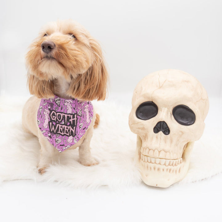 goth ween dog bandana - bean goods