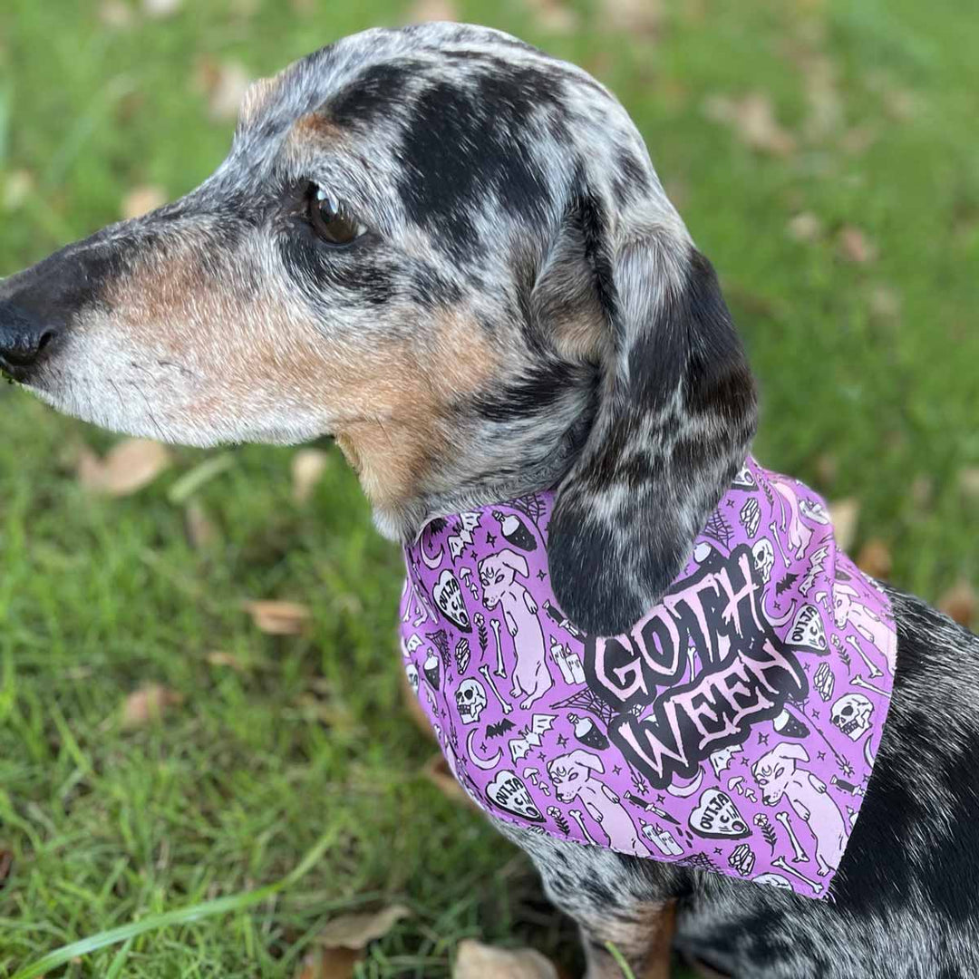 goth ween dog bandana - bean goods